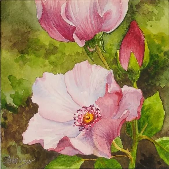 Intro to Watercolors Course - A 4-week class to walk you through the basics & beyond of watercolor!