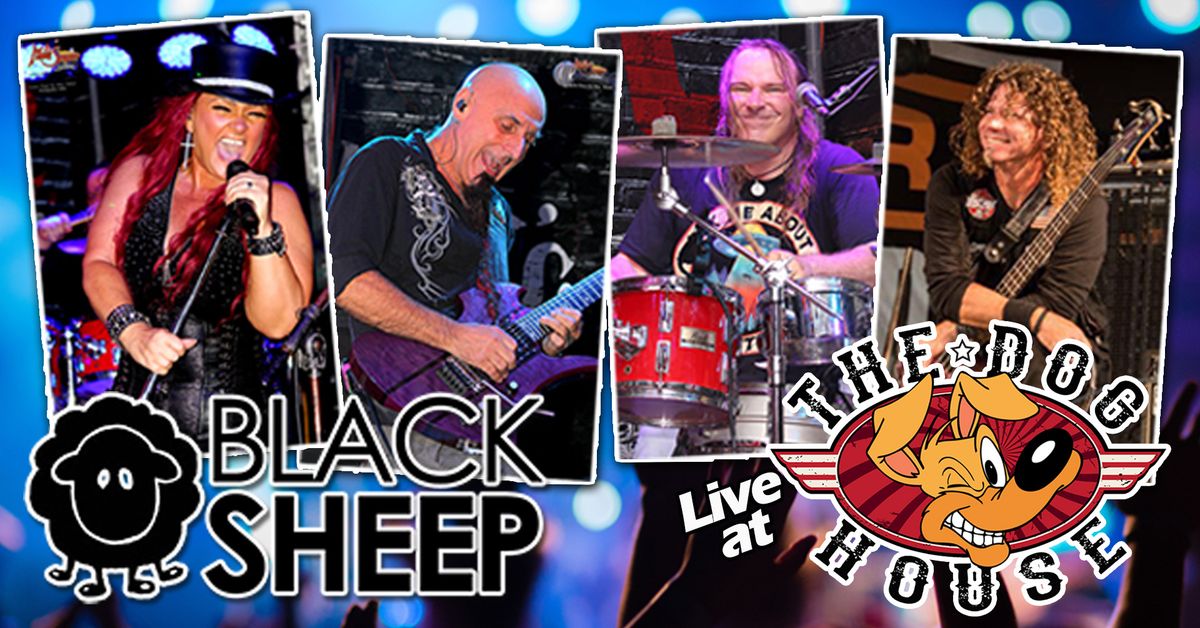 Black Sheep Rocks the Doghouse