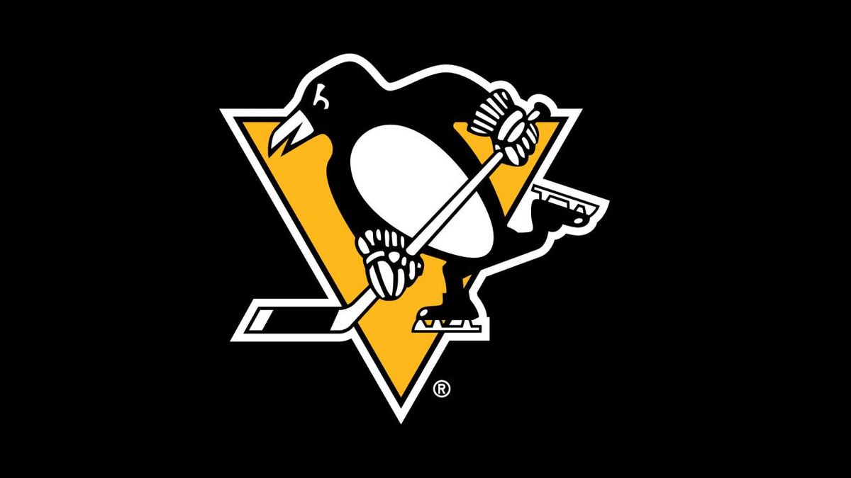 Pittsburgh Penguins Night