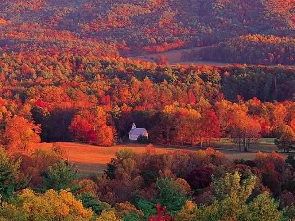 Trees of Many Colors Tour Weekend Getaway Great Smoky Mountains Gatlinburg $149 Per Couple