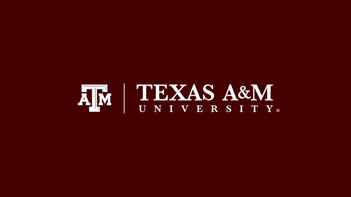 Texas A&M University Lunch and Learn