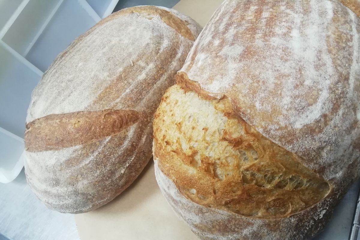 Making Sourdough at Home (SOLD OUT)