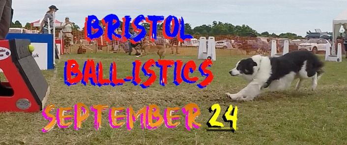 Ball-istics September Flyball Show