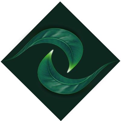 KGA Wellness Center NY