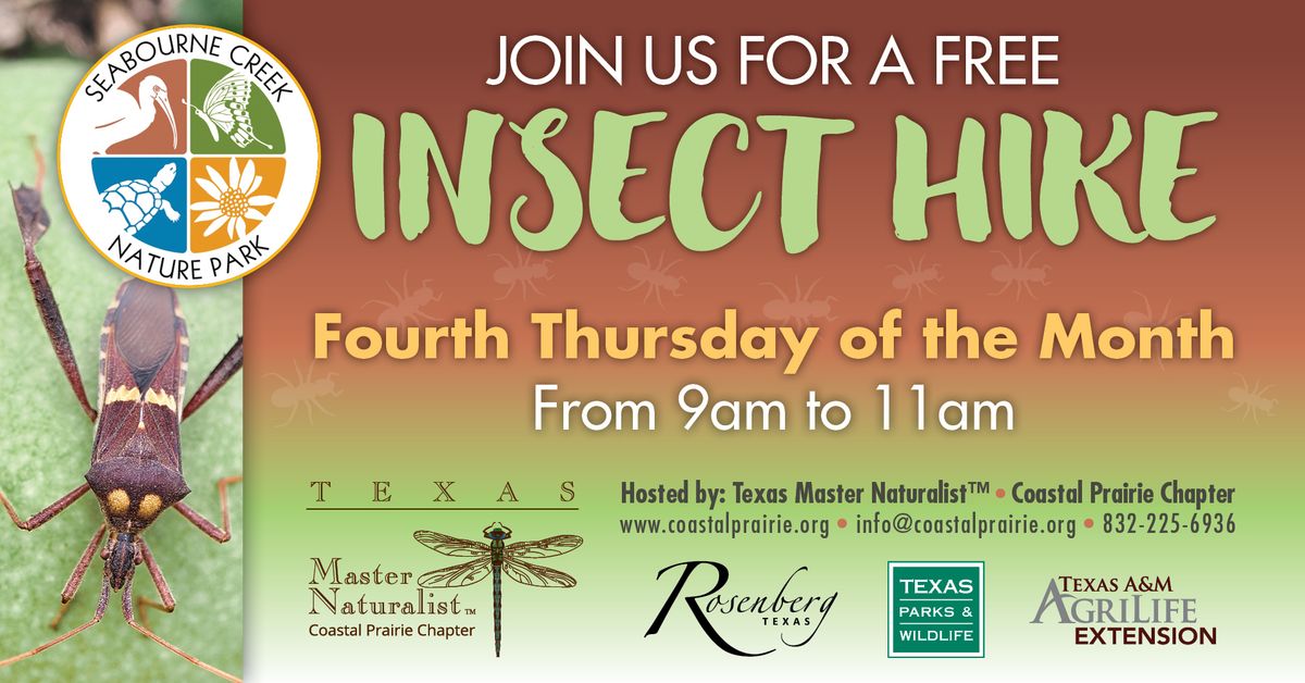 FREE February 27 Insect Hike at Seabourne Creek Nature Park