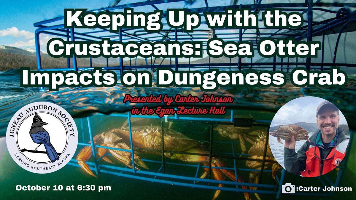 Public Presentation: Keeping Up with the Crustaceans: Sea Otter Impacts on Dungeness Crab