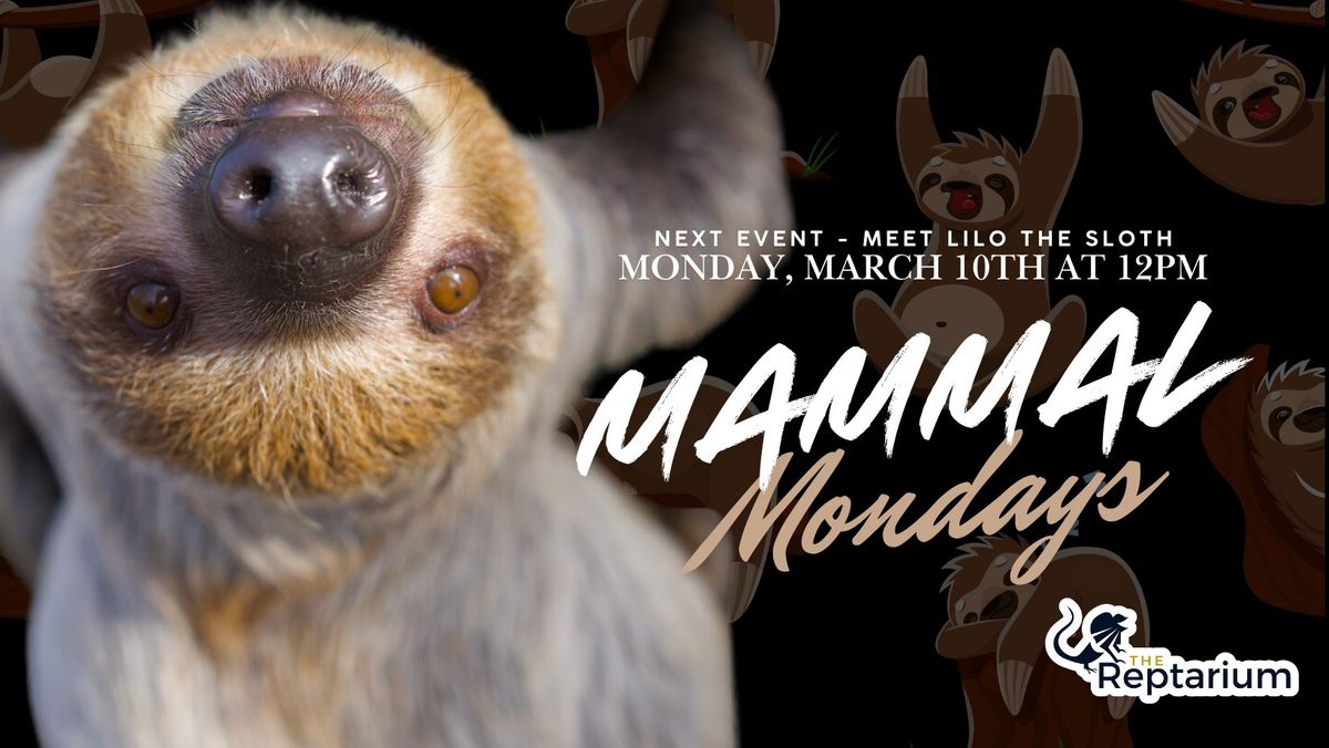 Mammal Mondays - Monday, March 10th - Featuring Lilo The Sloth