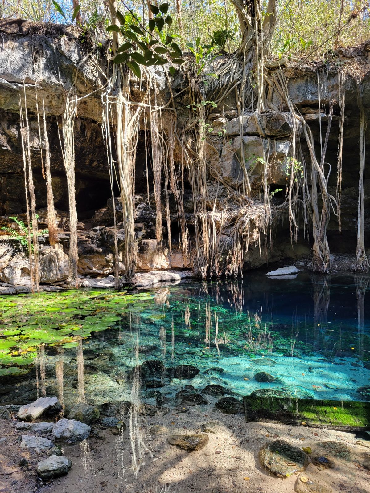 Hidden Cenotes in Merida, December 2024