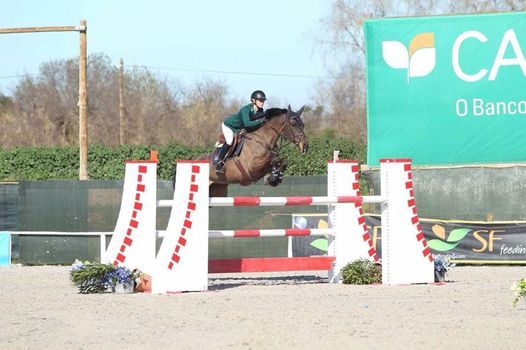 Heckingham Hall Jumping Clinic