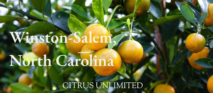 Citrus Sale - Winston-Salem, NC from 9:00 am - 2:00 pm at AMC Theaters