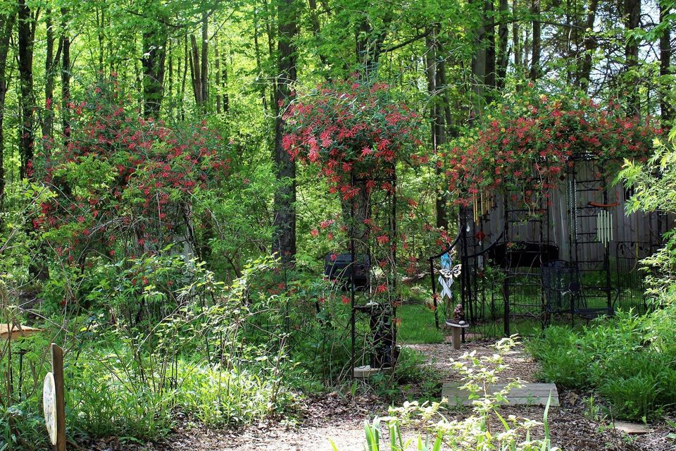 Earth Day 2023 Let the Earth Breathe Gardening with Native Plants, Middletown Public Library
