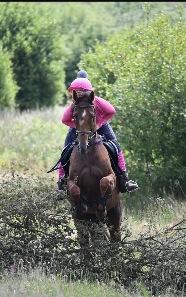 Equestrian camps.