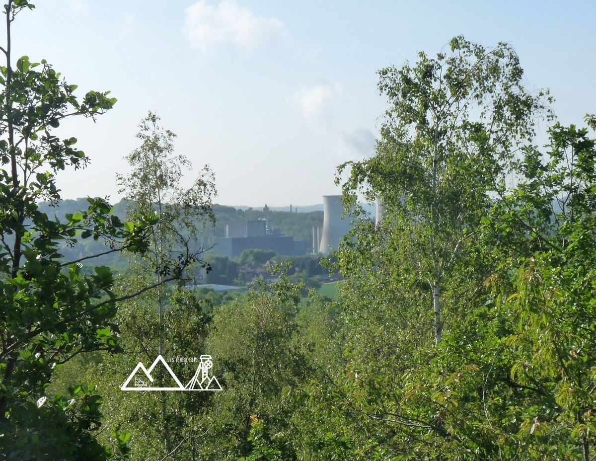 Visite du terril de l'Estacade \u00e0 Courcelles