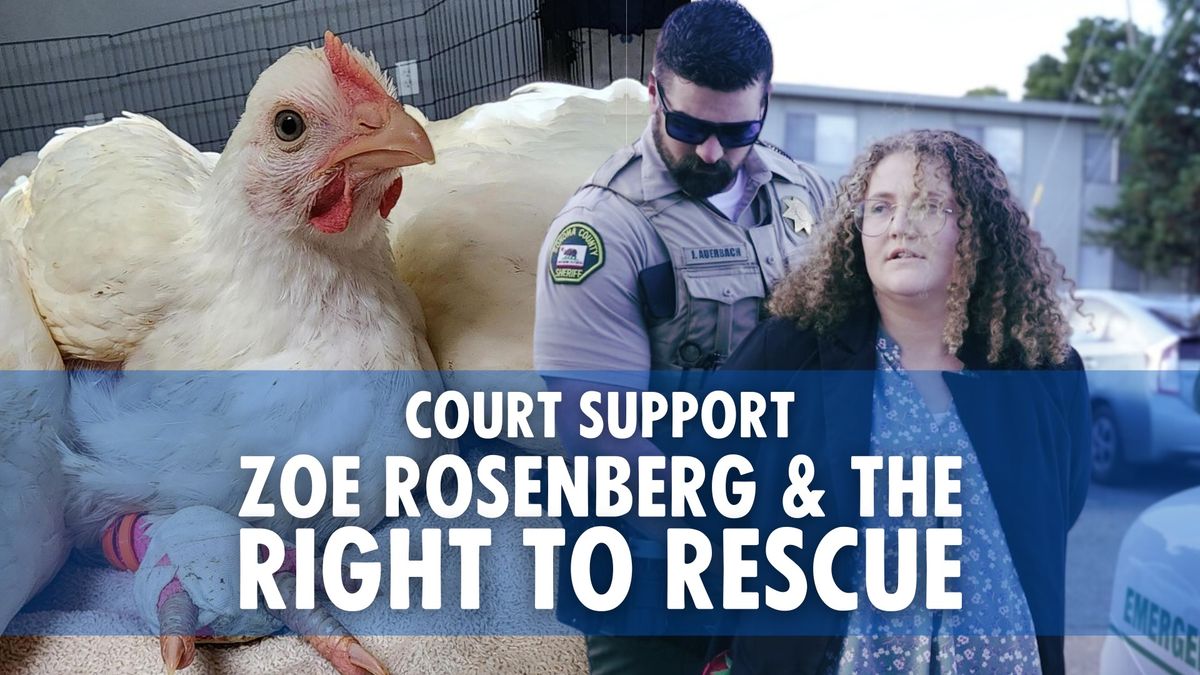 Court Support for Zoe Rosenberg & the Right To Rescue