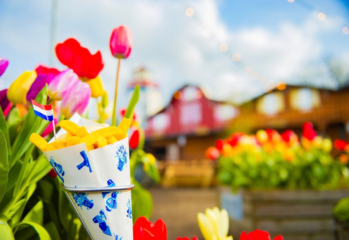 Tulley's Tulip Garden