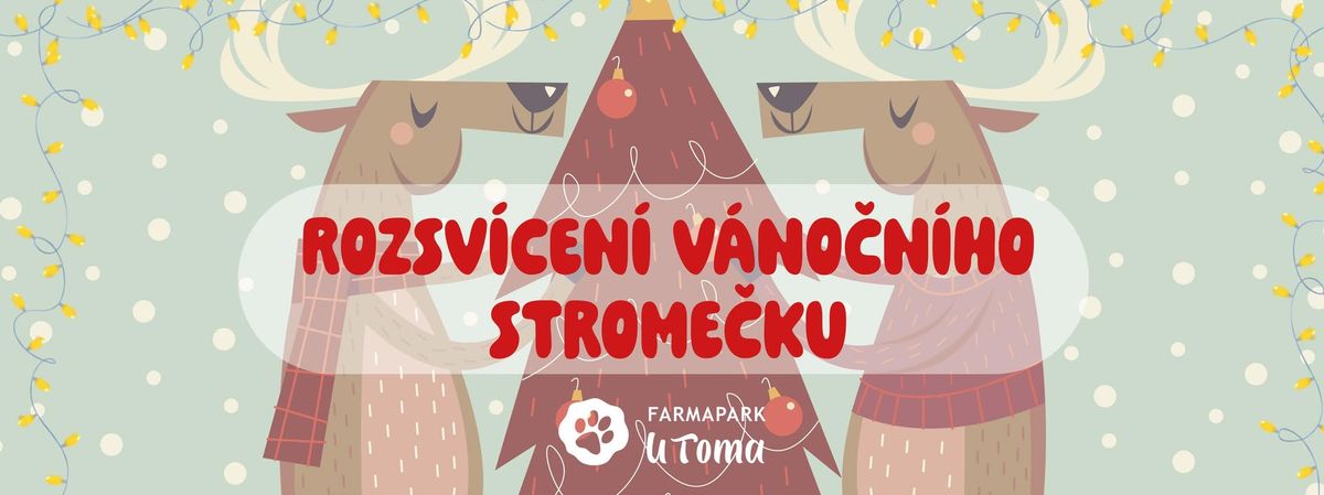 Rozsv\u00edcen\u00ed v\u00e1no\u010dn\u00edho strome\u010dku ve Farmaparku u Toma