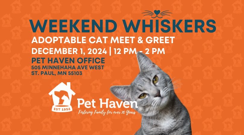 Weekend Whiskers! Adoptable Cat Meet!