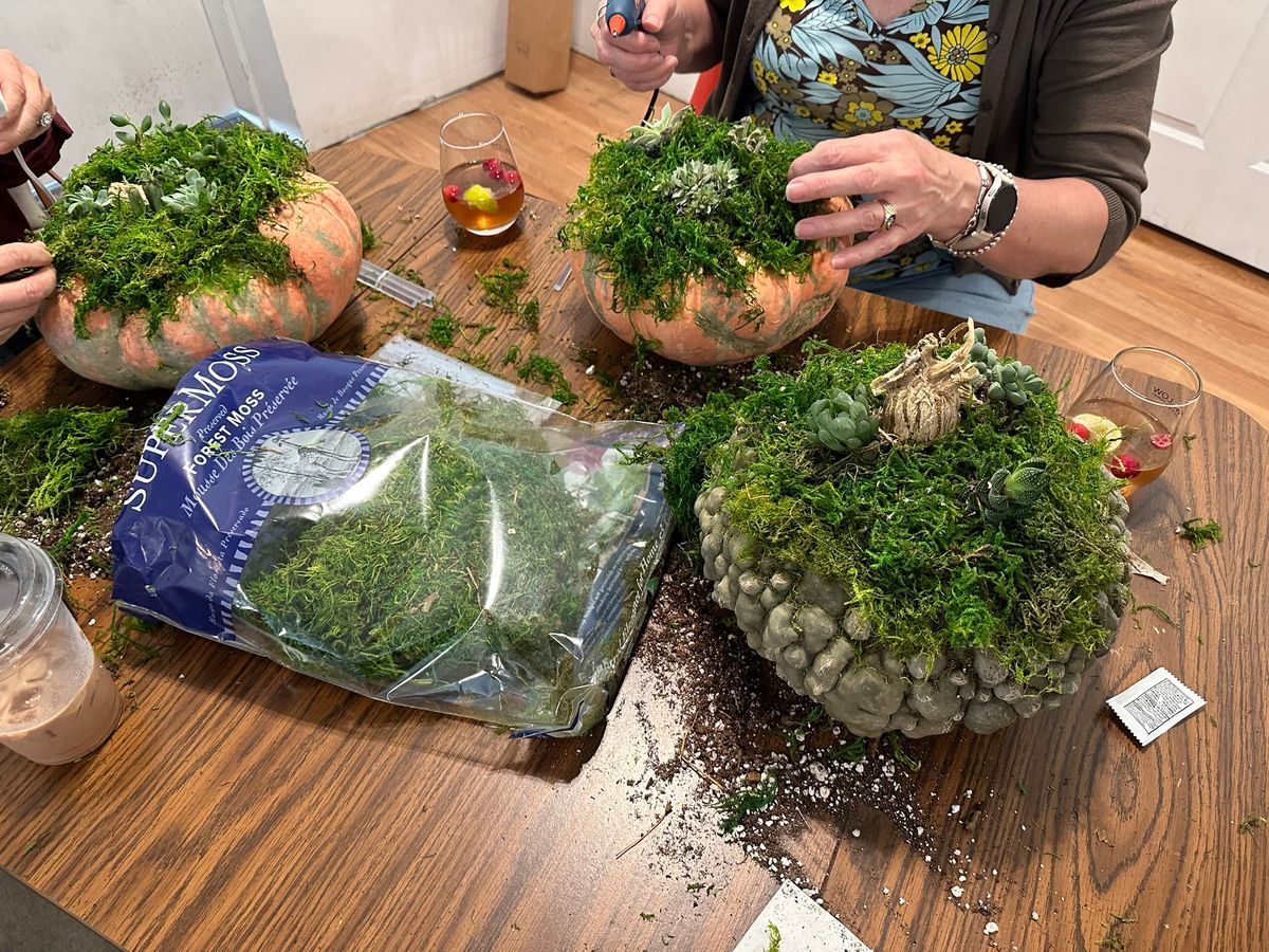 Pumpkin Succulent Planter Class