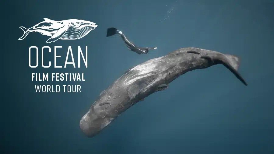 2025 Ocean Film Festival