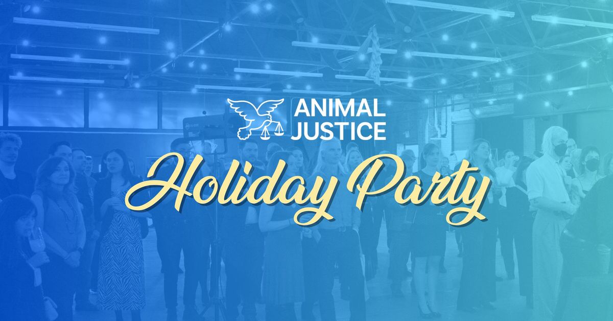 Animal Justice's Toronto Holiday Party \u2728