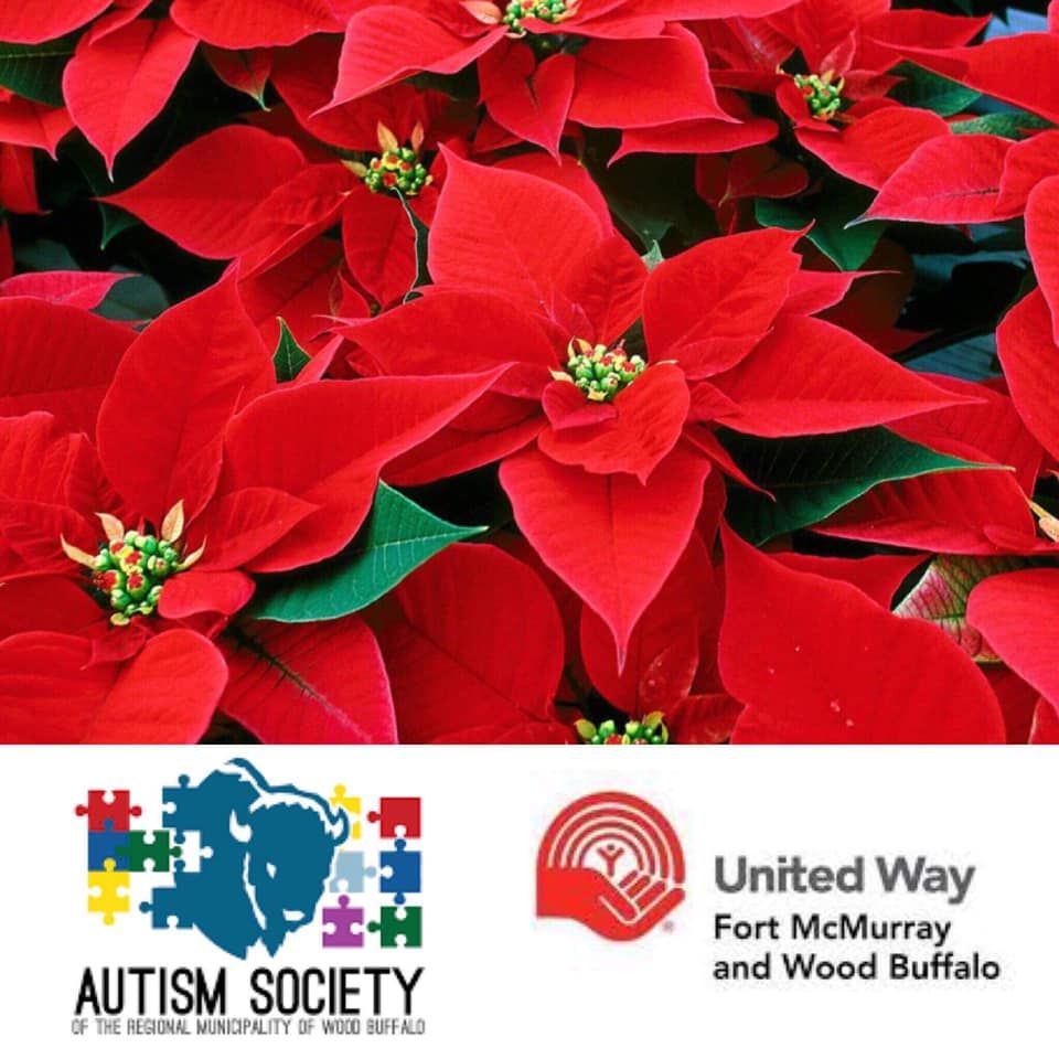 Christmas Poinsettia Fund Raiser