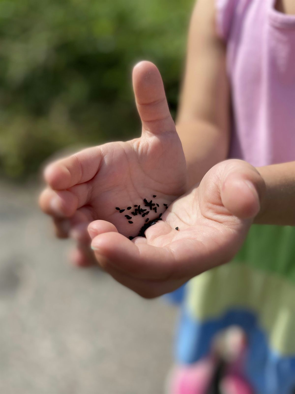 Leaf & Learn