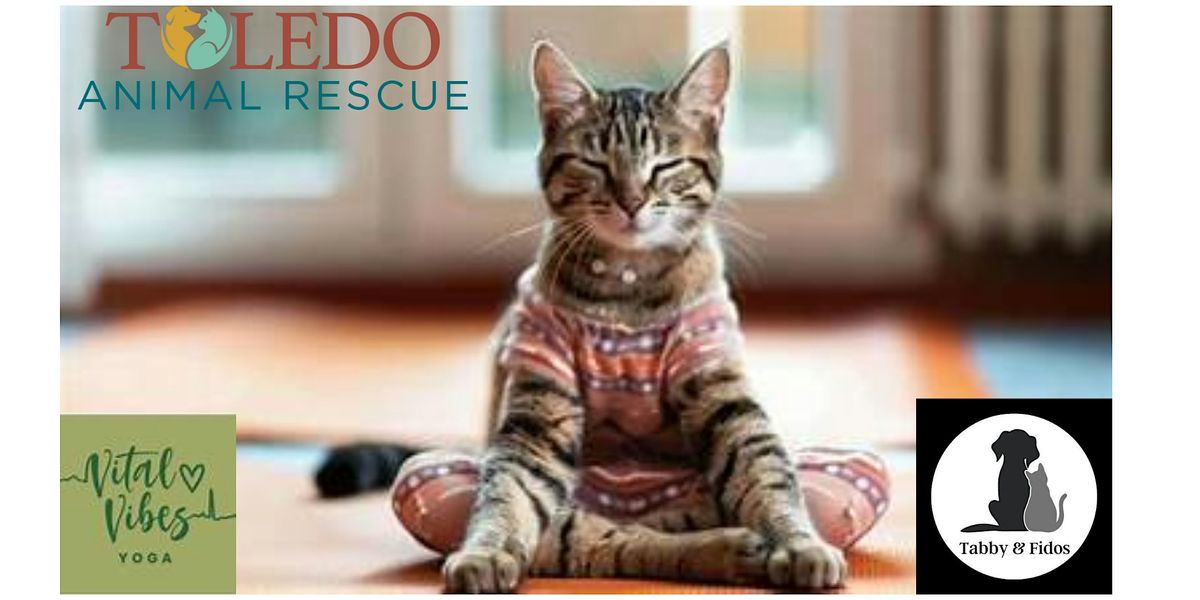 Purr-Fectly Yoga