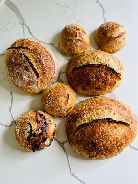 Beginner Sourdough Workshop