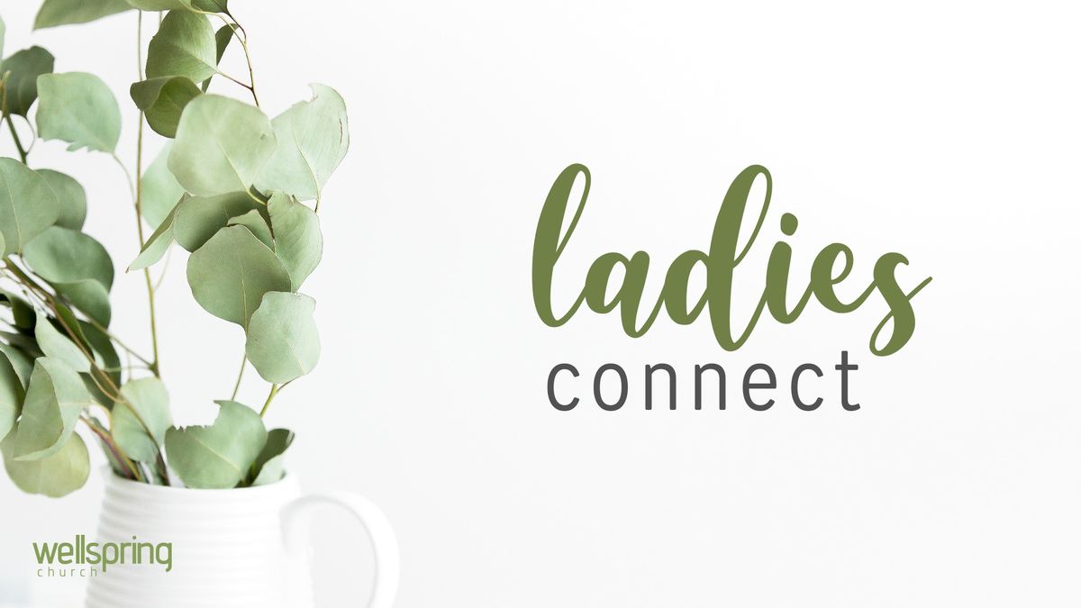 Wellspring Ladies' Connect