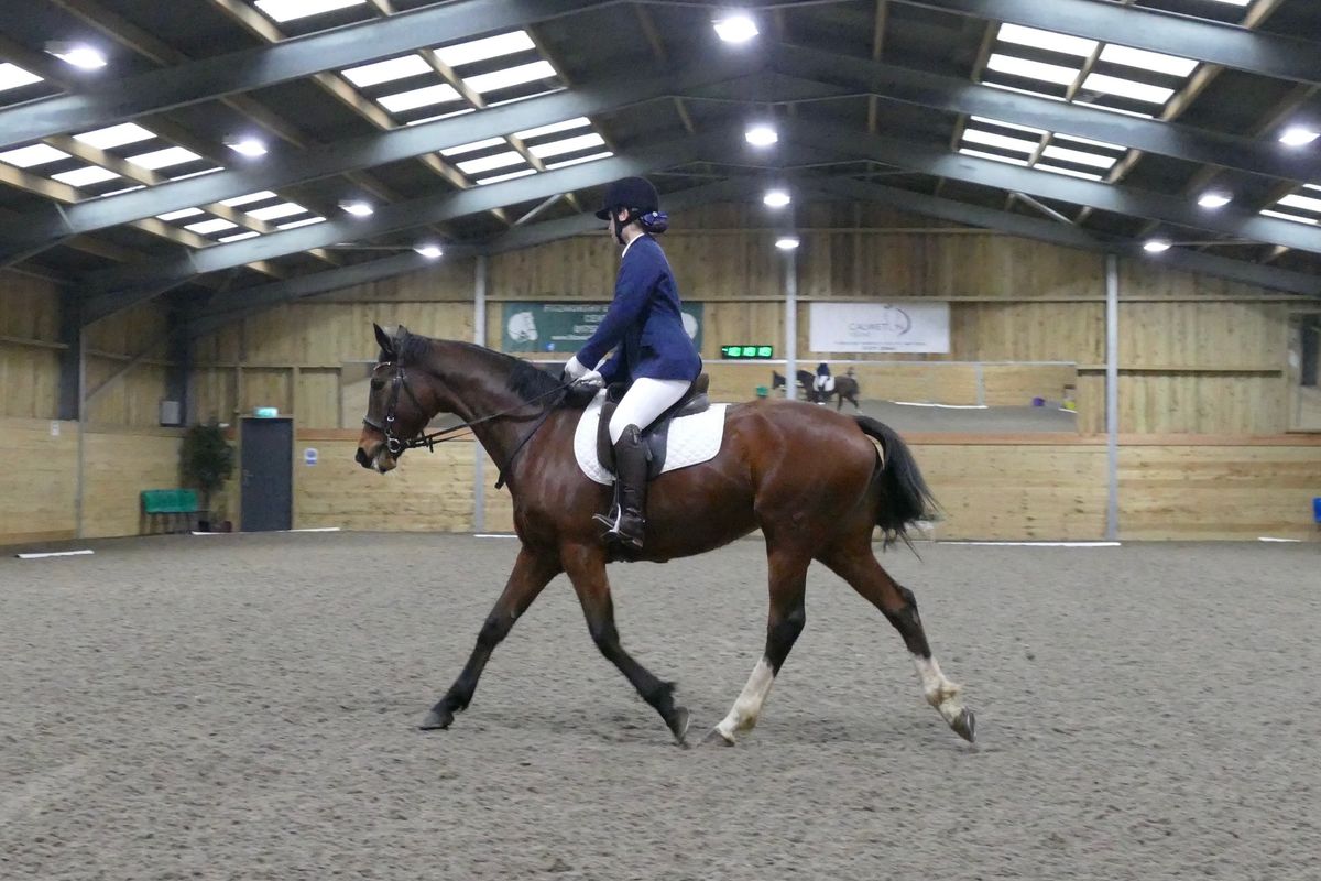 Unaffiliated Dressage with Guest Judge Mat Baker