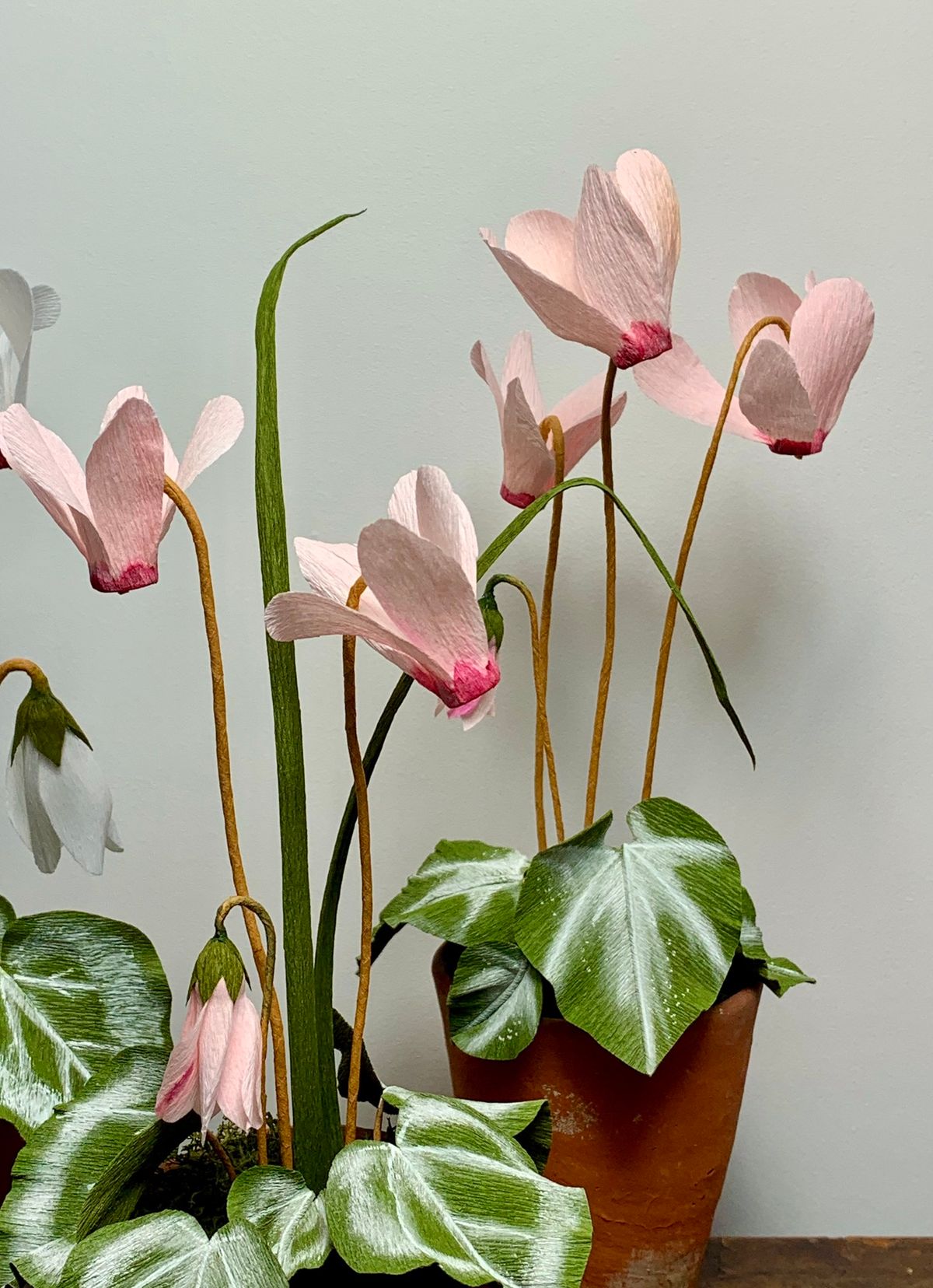 Make a paper cyclamen pot with Meg from Floragami Paper Flowers