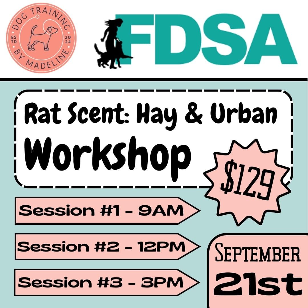 Rat Scent Workshop at Fenzi Ranch