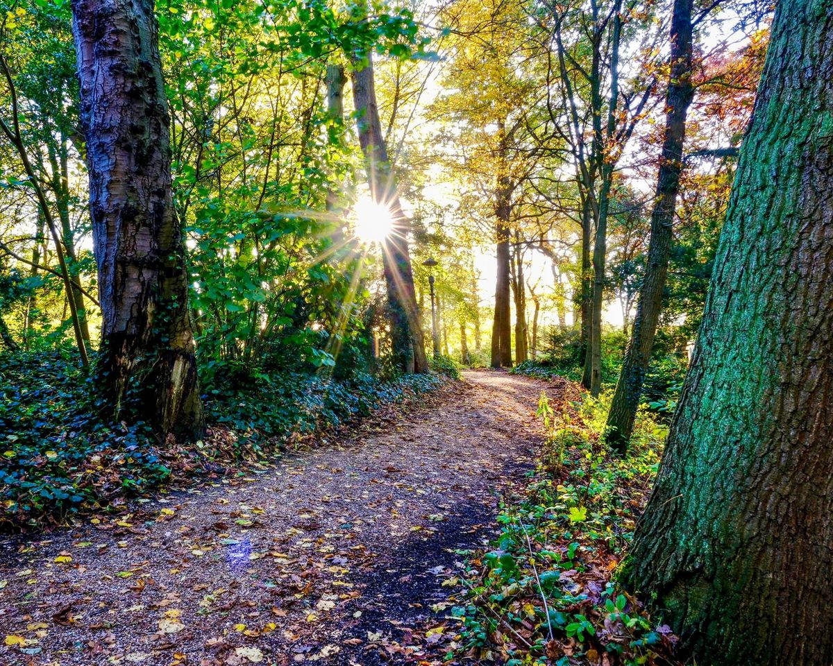 Herfstwandeling