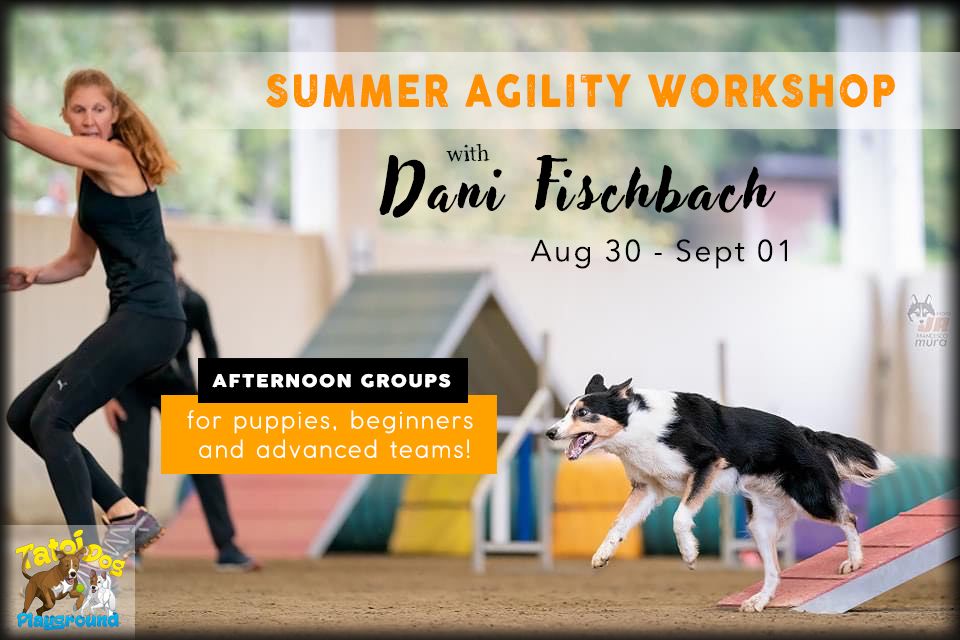 Summer Agility Workshop with Dani Fischbach 