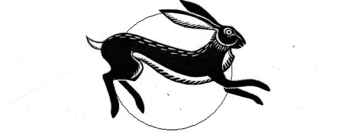 Leaping Hare 2025