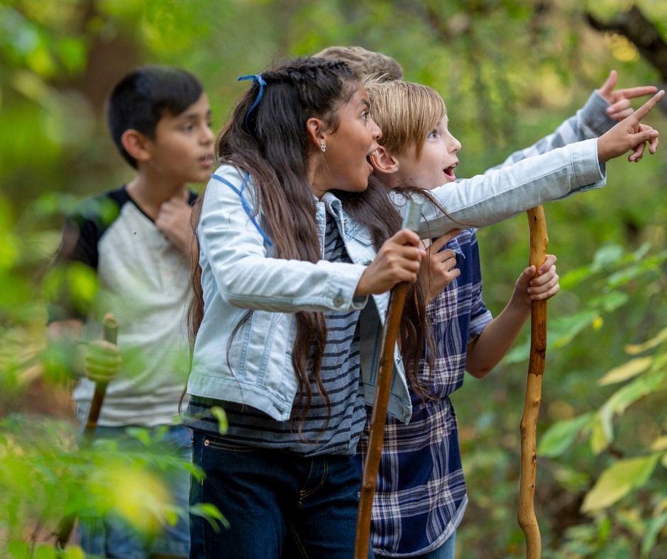 Nature Bingo for Kids