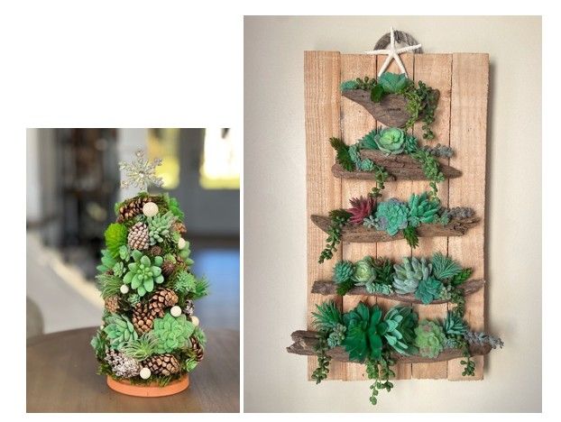 Succulent tree workshop at Jay's Local