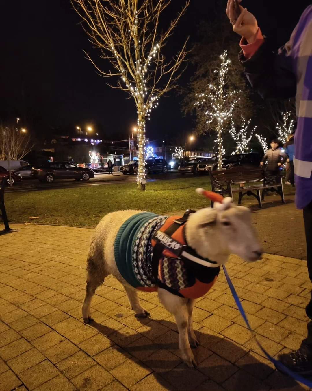 Crosshaven Tree Lighting \ud83c\udf84