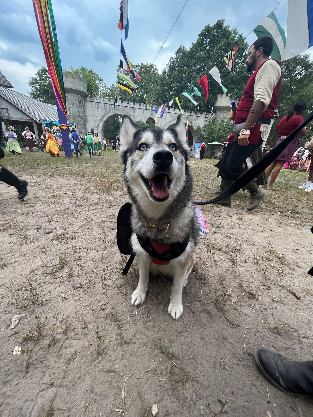 Mich Ren Fest with Fur Ball! 