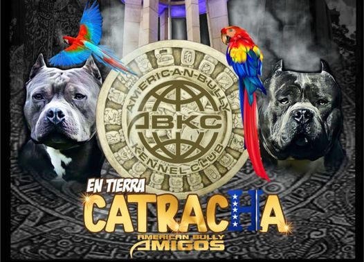 ABKC EN TIERRA CATRACHA
