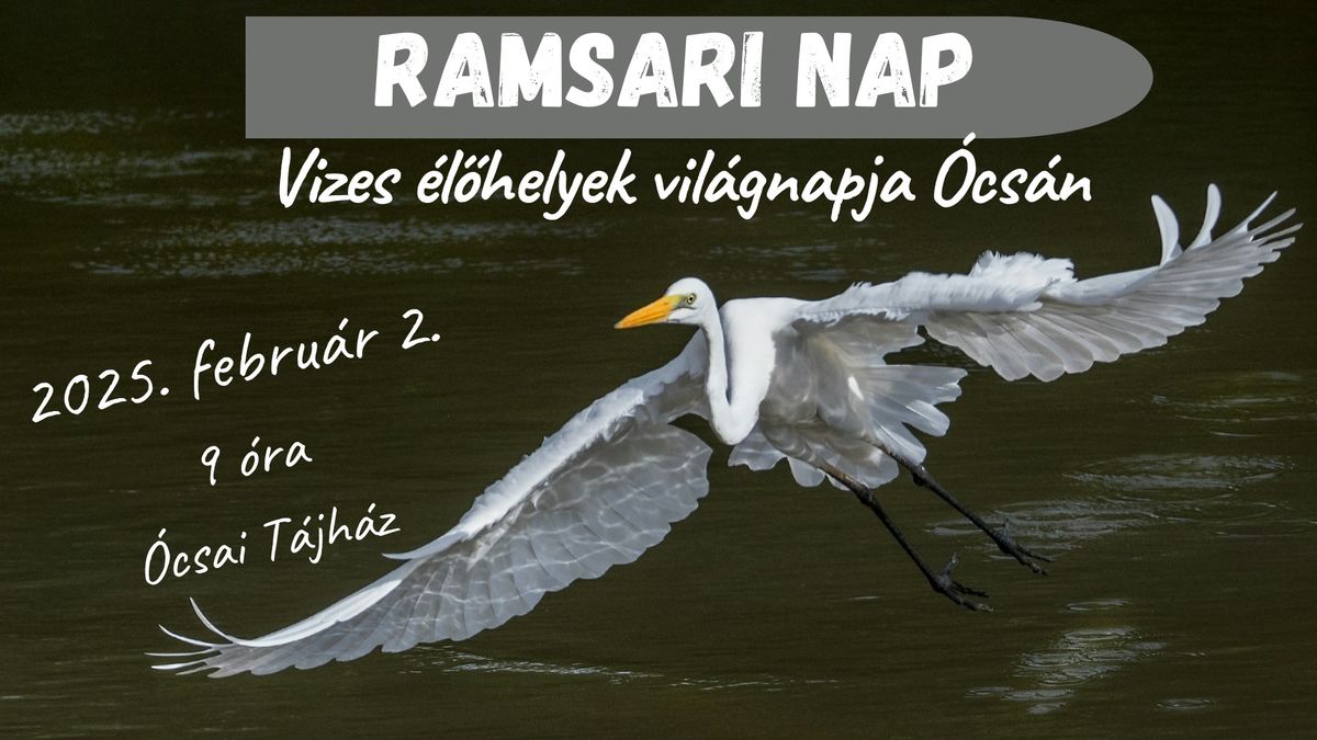 Ramsari nap a turj\u00e1non