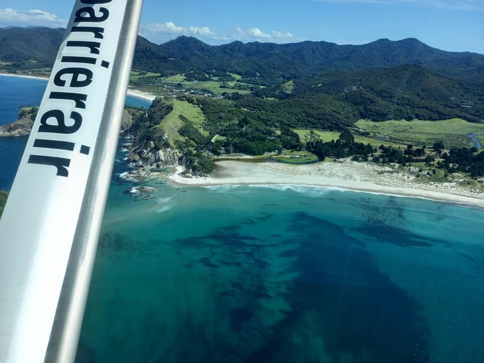 Great Barrier Island - 12th-16th January 2025