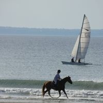 Anne Faivre d'Arcier