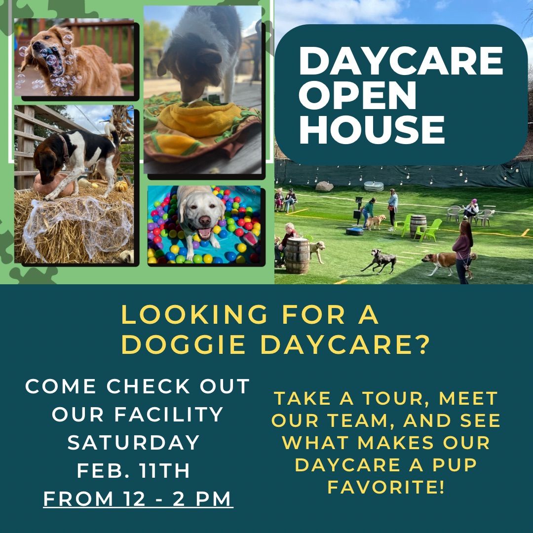 Daycare Open House