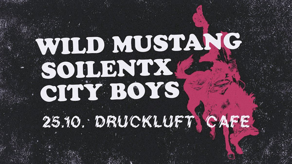 Wild Mustang \/ SoilentX \/ City Boys @ Druckluft Caf\u00e9