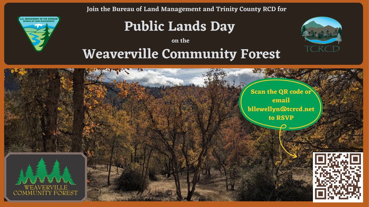 Public Lands Day on the Weaverville Community Forest