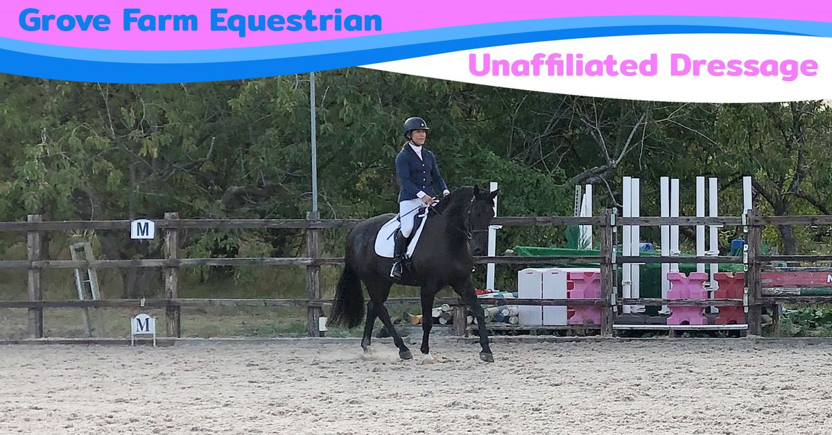 Evening Unaffiliated Dressage