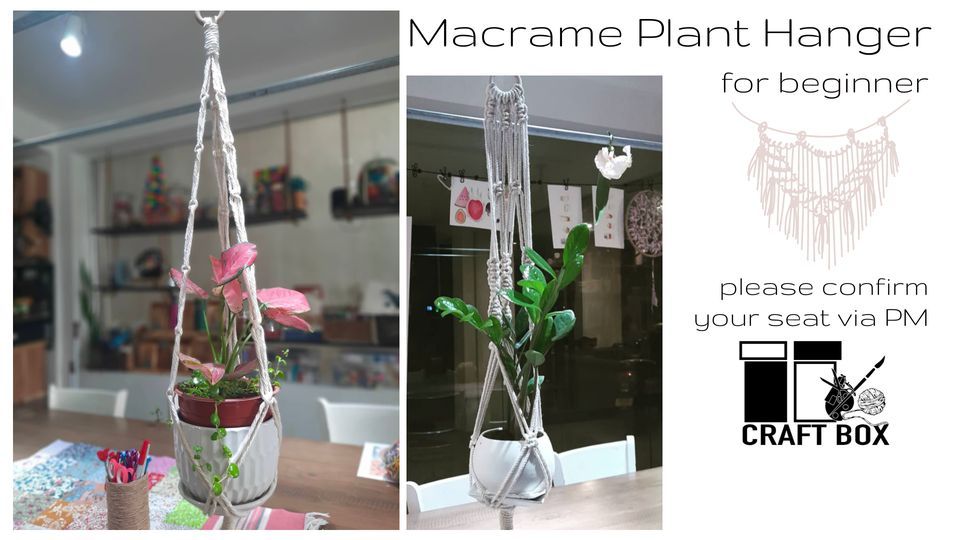 Beginner Macrame Plant Hanger