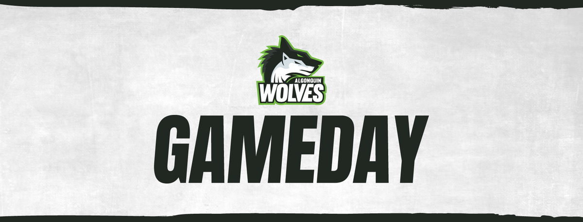 Georgian Grizzlies at Algonquin Wolves at Jack Doyle Athletics Centre