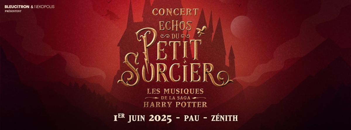 Echos du Petit Sorcier, concert Harry Potter@Pau, Z\u00e9nith